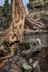 Sticker - Overgrown temple