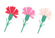 Set of decorative abstract red and pink carnation with green leaves isolated on white. Vector illustration. Vintage flowers for Mother's day decoration.	