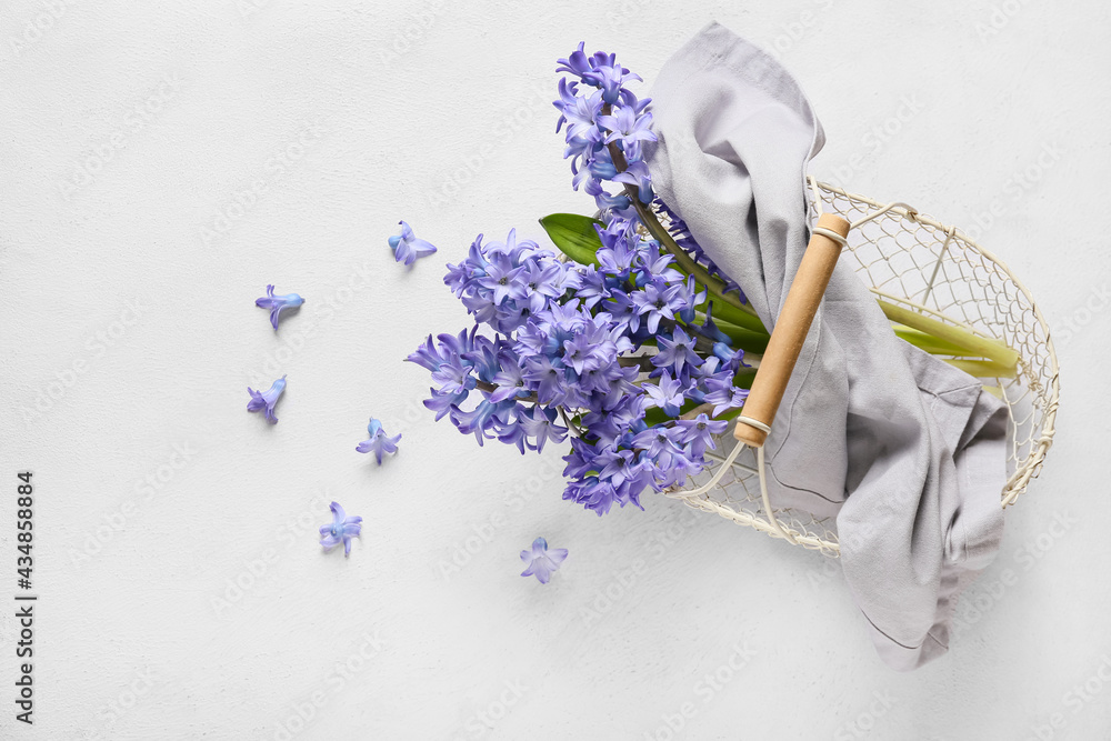 Basket with beautiful hyacinth flowers on light background