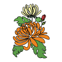 Orange And Yellow Chrysanthemum Bouquet Cartoon Vector Illustration