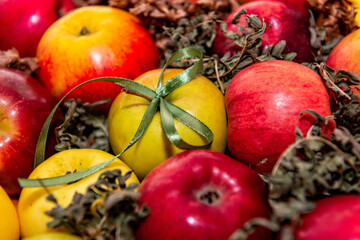 red, tasty apples close-up on a background of green moss, gift decoration with green ribbon