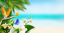 Butterflies Flying Around Tropical Flowers Plants And Palm Leaves On A Blurry Background Of Beach And Ocean
