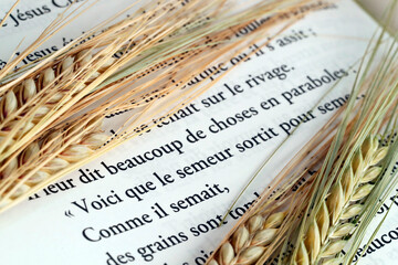 Sticker - The sacred book of the Bible and ears of wheat as a symbol of spiritual and physical food.  The Parable of the Sower.  France.