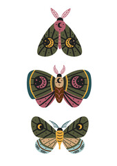 Wall Mural - set of isolated magic moths and butterflies