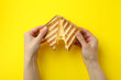 Female hands hold grilled sandwich with cheese on yellow background