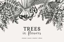 Vector Banner With Hand-sketched Trees In Flowers. Vintage Illustrations On Blooming Wisteria, Mimosa, Albizia, Acacia. Floral Card Or Invitation Design In Retro Style