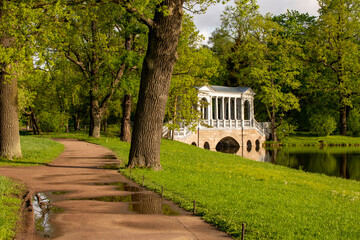 Wall Mural - the park