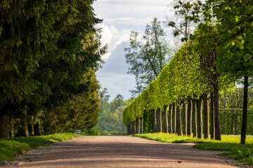 Sticker - path in the park