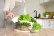 A woman in an apron pours lettuce in a pot in the kitchen. Home garden with lettuce, rosemary and microgreens on the table.