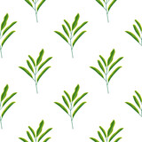 Fototapeta Mapy - Minimalistic green leaf branches seamless pattern in hand drawn style. White background. Scrapbook ornament.