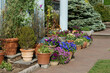 Plants and amazing flowers in ceramic pots. Wave Hill in Hudson Hill section of Riverdale in Bronx, New York City