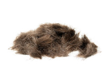 Pile Of Cut Hair On Ground, Perspective View. Closeup Of Large Blond Female Hair Clump After A Haircut At A Hair Salon, Barbershop Or After Trimming At Home. Selective Focus. Isolated On White.