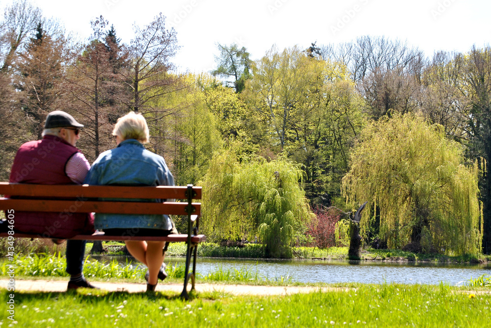 Zdjęcie przedstawiające parę starszych ludzi siedzącą na ławce w parku - obrazy, fototapety, plakaty 