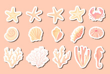 Seashells Vector Set. Collection Of Flat, Cartoon Sketch Stickers Of Molluscs Seashells, Starfish, Sea Urchin, Seahorse, Hippocampus, Crab, Coral. Trendy Coral Reef Under Water Isolated Elements
