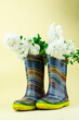 © Татьяна Качайло - Children's multi-colored rubber boots with white flowers inside on a beige background