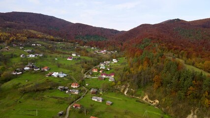 Wall Mural - Aerial view of a village rural area with small houses between autumn mountain hills covered with yellow and green spruce forest.