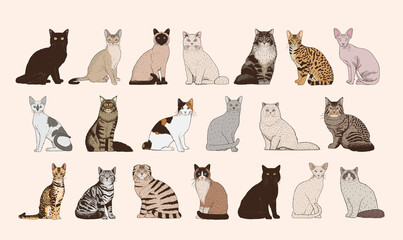 Naklejka na meble Set of realistic cats vector illustration design