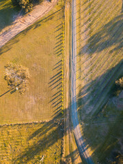 Wall Mural - top down aerial view of road with trees on its side.