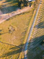 Wall Mural - top down aerial view of road with trees on its side.