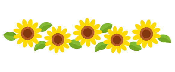 sunflower field, flower border flat style vector illustration