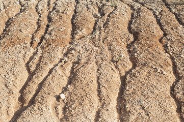 Canvas Print - Landscape of cracked eroded terrain by rain