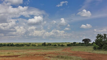 A Red Dirt Road Winds Through The Savannah. Around Green Grass, Trees, Bushes. There Are Picturesque Cumulus Clouds In The Blue Sky. African Landscape. Kenya. Maasai Mara