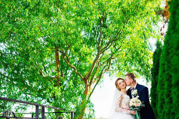 a man in love kisses a bride at a point in a park in nature. A woman in a beautiful dress a man in a tuxedo.