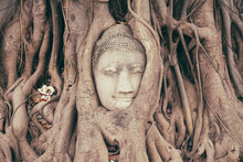 Buddha Statue In Mahatat Temple, Ayutthaya Thailand