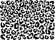 Leopard Pattern Print Cut File, SVG , Cricut, Silhouette