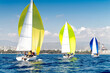 Three sport sailing boats during the regatta