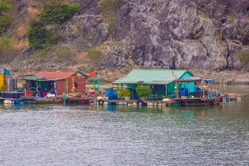 Ha Long Bay landscape, Vietnam