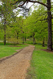 Fototapeta Przestrzenne - Spring in the grounds of Exbury gardens