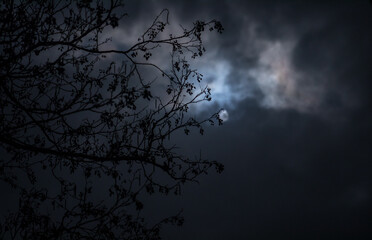 Wall Mural - full moon over quiet village at night. beautiful night landscape of mountain village under the moonl