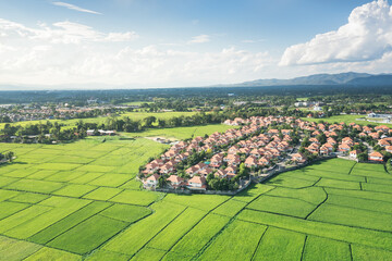 Wall Mural - land or landscape of green field in aerial view. include agriculture farm, house building, village. 