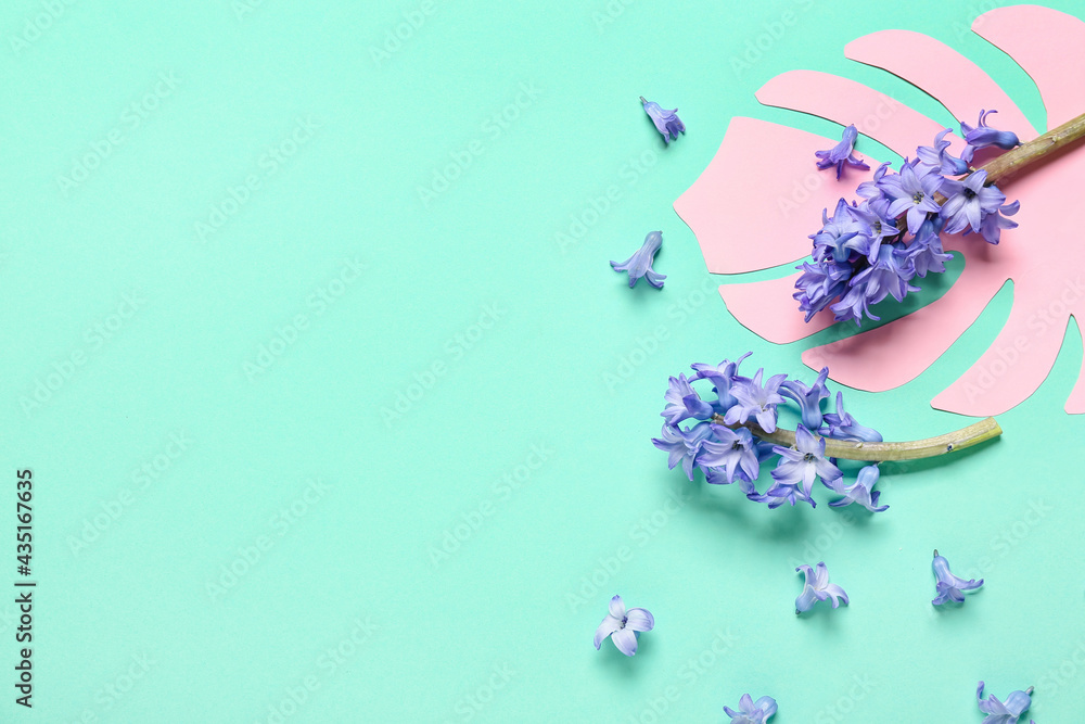Beautiful hyacinth flowers on color background