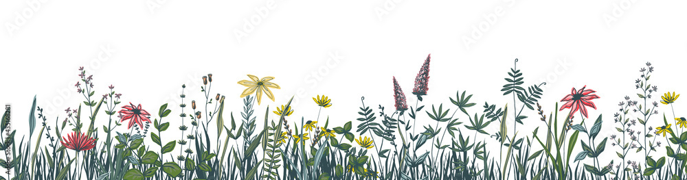 Flower border. Floral horizontal banner with spring and summer blooming herbs. Blossom and green stems with leaves. Hand drawn plant ornament template. Vector elegant pastel illustration - obrazy, fototapety, plakaty 