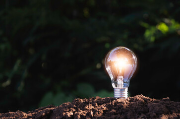 The light bulbs placed on the soil in nature background an idea concept.