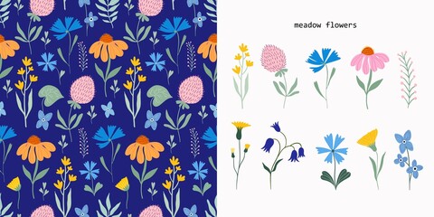 Meadow flowers set with seamless pattern and flowers collection