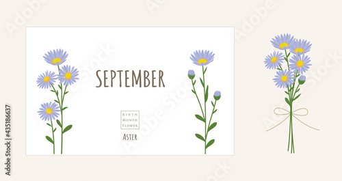 Plakat W Ramie 誕生月の花のイラスト 9月の誕生花 アスター Aster Wrzesien Kwiat Fototapety Foteks Plakat W Ramie 誕生月の花のイラスト 9月の誕生花 アスター Aster Wrzesien Kwiat Fototapety Foteks