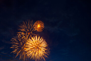 Fireworks on the background of the dark night sky. 4th July - American Independence Day