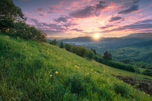 Beautiful Summer Evening Scenery Of Ukrainian Carpathian Mountains. Green Grass Slopes With Wildflowers Under A Beautiful Sunset Sky.