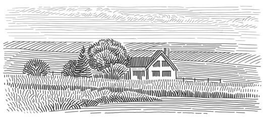 Wall Mural - House in field line art illustration. Rural countryside monochrome sketch. Vector. 