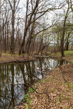 River with trees mirroring on water ground during mostly cloudy springtime day