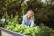 pretty young blonde woman with blue shirt and gloves with flower motif takes care of lettuce in raised bed in garden and is happy