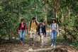 © butsaya33 - Portrait group of four friends enjoying jungle trail by the nature, hiking in wild forest, looking for a nice place for camping. Adult summer activity concept