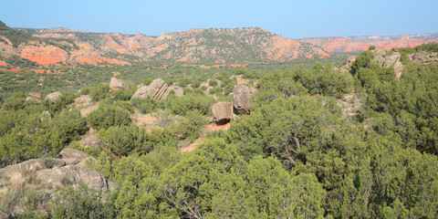 Wall Mural - Palo Duro Canyon State Park in Texas, USA