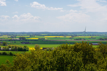Wall Mural - Farm fields of green and yellow canola in the flat farmland landscape of Skåne Sweden during spring and summer