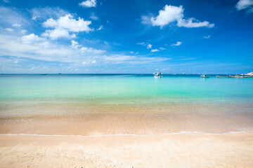 Wall Mural - sandy beach and beautiful tropical sea. koh tao, thailand