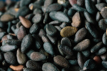 Closeup Of Black Sesame Seeds