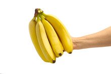 Woman Hand Holding Ripe Bananas, Isolated On White Background. Bunch Of Bananas In Hand